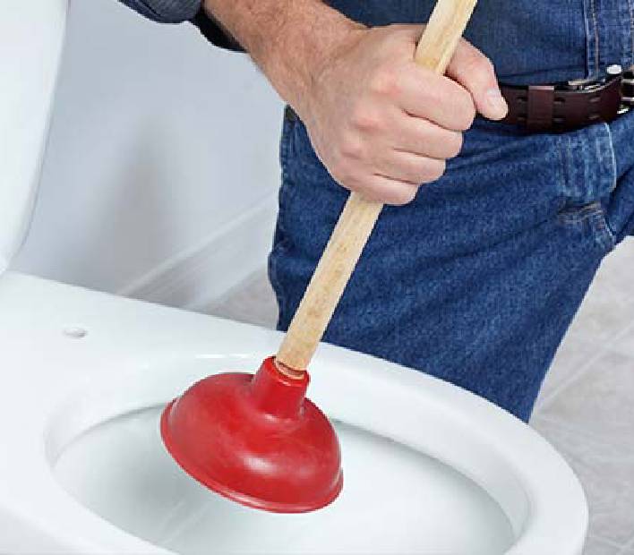 Primo Clogges Toilet Repair