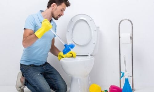 toilet Cleaner